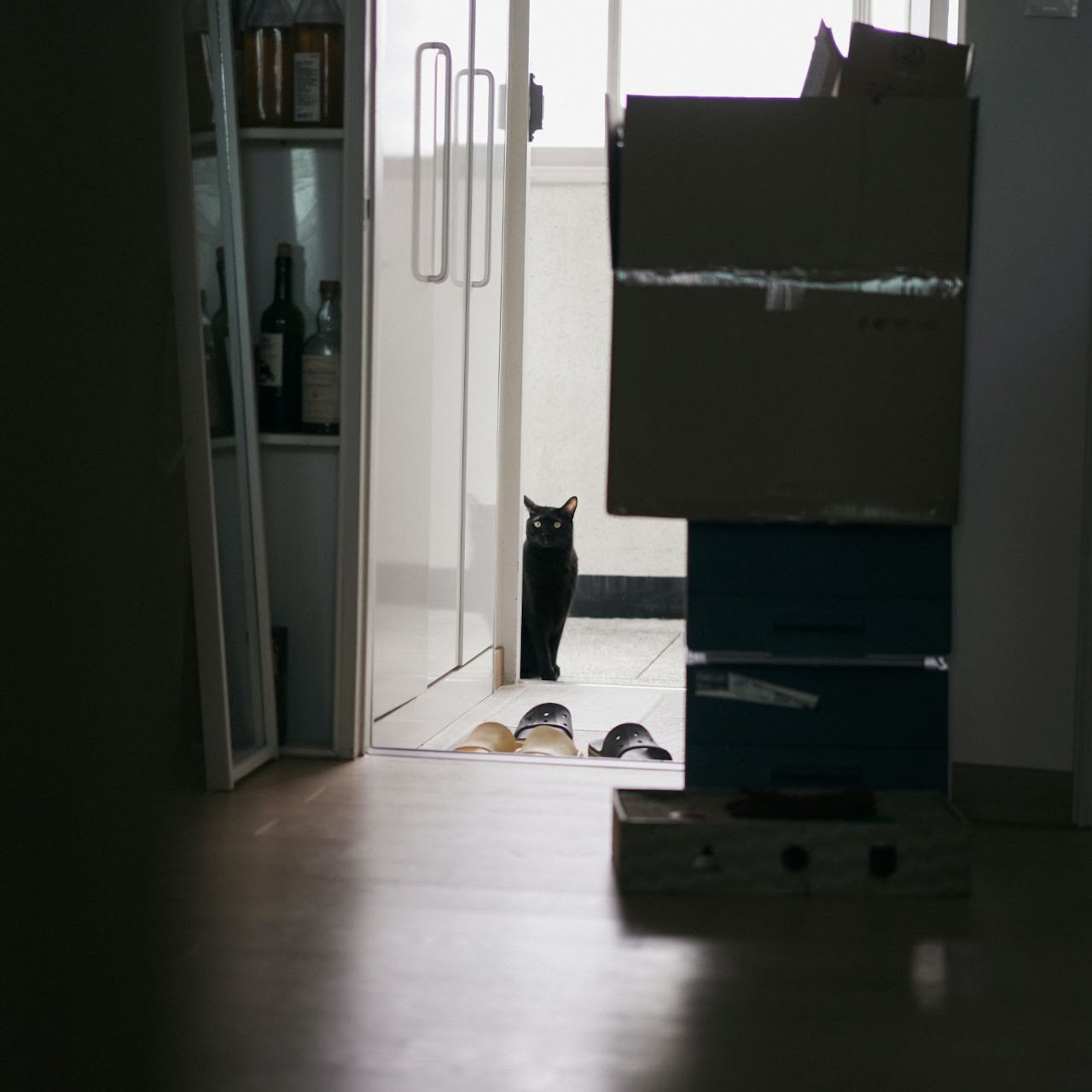 Move-in / move-out